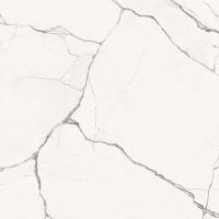 Керамогранит Imola The Room STAVP660LP 60x60 см