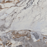 Керамогранит La Faenza Aesthetica AEUNI6120LP 120х120 см