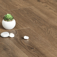 MSPC Ламинат 8 мм Stone Floor Дуб Тихий вечер 91799-5 MP 1220х196 мм