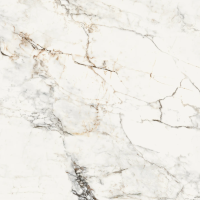 Керамогранит La Faenza Aesthetica AEPAO6120RM 120х120 см