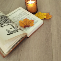 MSPC Ламинат 8 мм Stone Floor Дуб Райдер 2529-13 MР 1220х141 мм