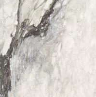 Керамогранит Rex Etoile Renoir Matte Retificato 80x80 см