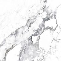 Керамогранит Arcadia Ceramica Carving Borghini Silver 60х60 см