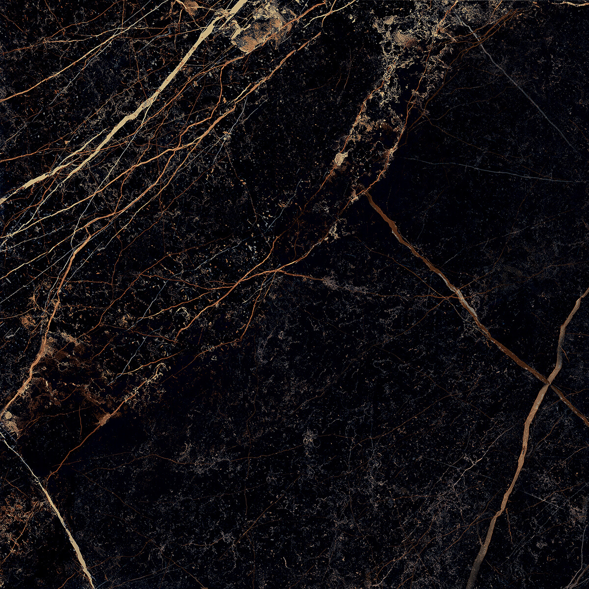 Керамогранит Versace Marble Nero Sant Laurent Lappato Rettificato 58,5x58,5 см