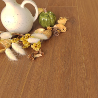 MSPC Ламинат 8 мм Stone Floor Дуб Грейнфилд DCF1-6 MР 1220х141 мм