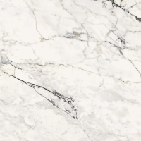 Керамогранит La Faenza Aesthetica AEPAO6120LP 120х120 см