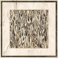 Декор Imola The Room GHEPARD6120LP 120x120 см