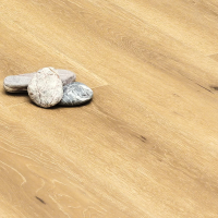 MSPC Ламинат 8 мм Stone Floor Дуб Полуденный 0004-5 MP 1220х196 мм