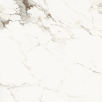 Керамогранит La Faenza Aesthetica AECAP6120LP 120х120 см