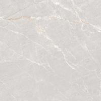 Крупноформатный керамогранит Neodom Stone Persian Grey Matt 120x120 см