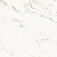 Керамогранит La Faenza Aesthetica AECAL6120RM 120х120 см