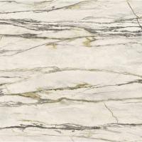 Керамогранит Versace Maximvs Calacatta Green Lux 60x60 см