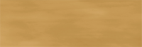 Керамогранит Ennface Monocolor Camelot Amber Matt 7,5x22,5 см