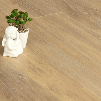 MSPC Ламинат 8 мм Stone Floor Дуб Яркий день 0061-7 MP 1220х196 мм