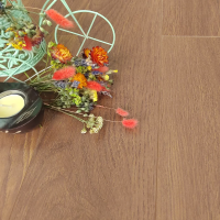 MSPC Ламинат 8 мм Stone Floor Дуб Брэдли 2529-9 MР 1220х141 мм