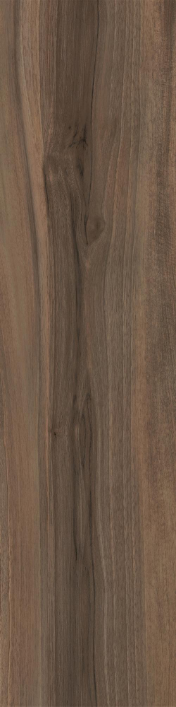 Керамогранит Italon Maison Brandy 30x120 см
