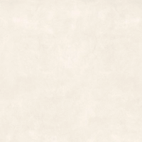Керамогранит Imola Retina RTN NEVE120 RM 120x120 см