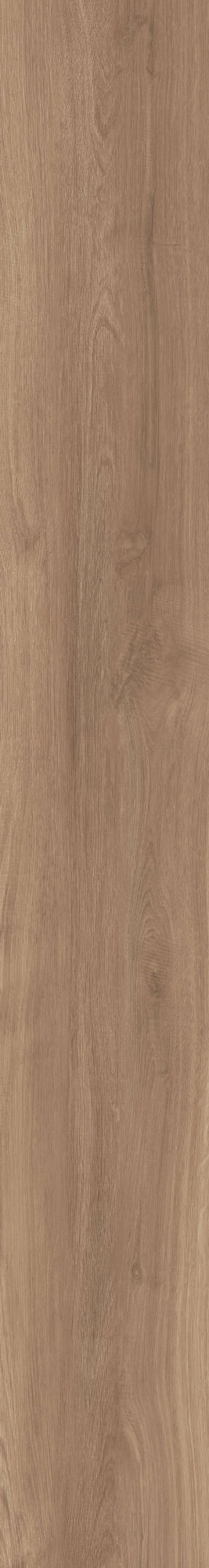 Керамогранит La Faenza Dama DAMA62015NORM 20x150 см
