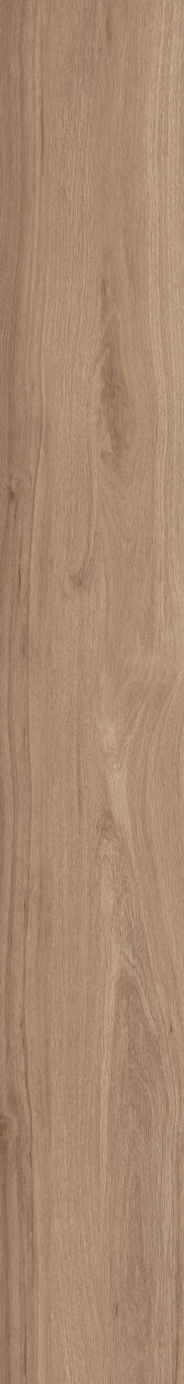 Керамогранит La Faenza Dama DAMA62015NORM 20x150 см