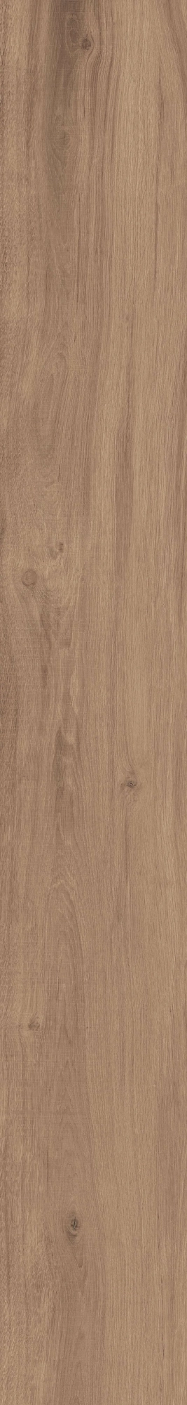 Керамогранит La Faenza Dama DAMA62015NORM 20x150 см