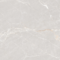 Крупноформатный керамогранит Neodom Stone Persian Grey Matt 120x120 см