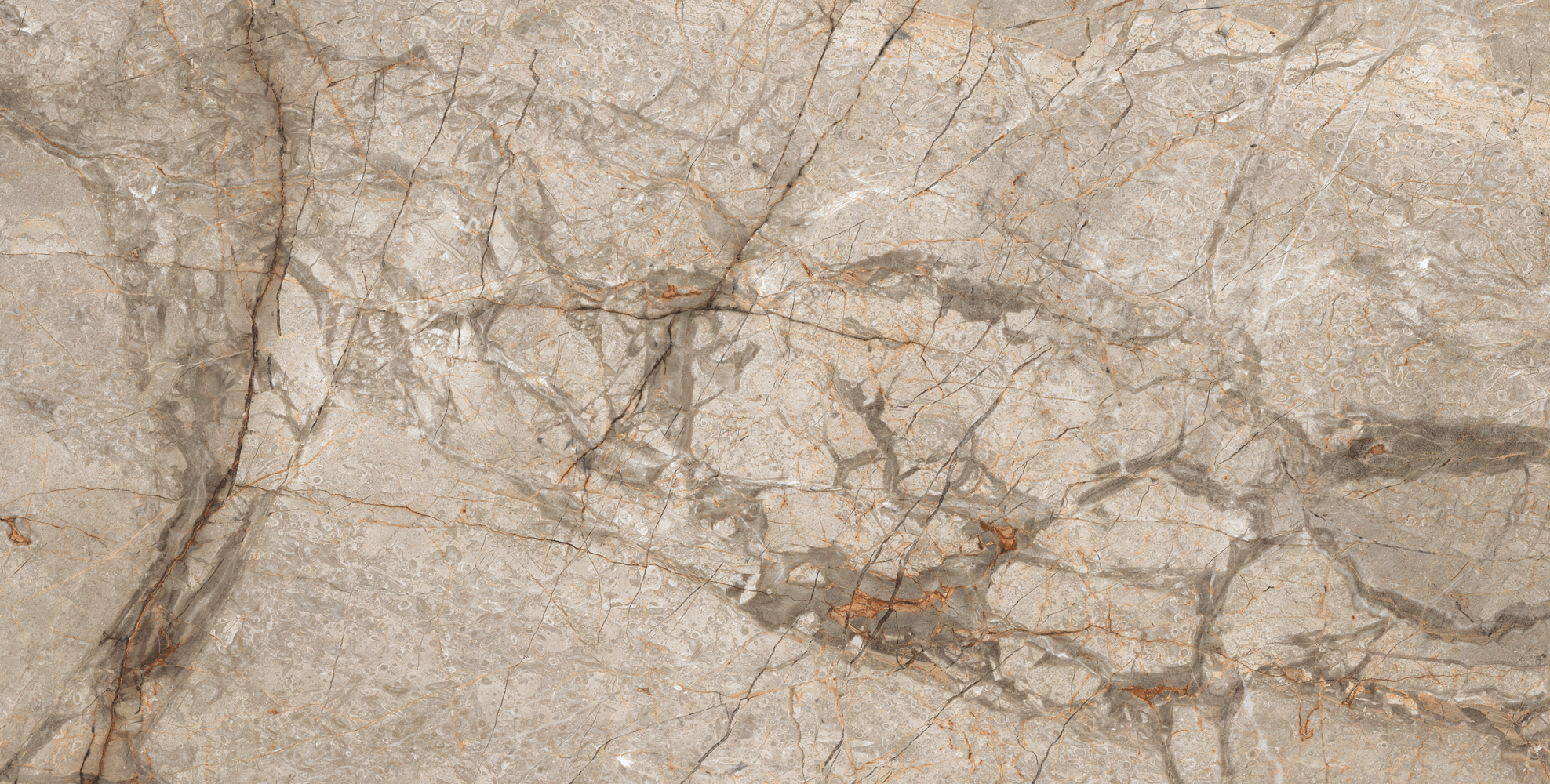 Фото Керамогранит Ennface Stone Kalahari Carving 60x120 см крупным планом — купить в Краснодаре в салоне МАКСАНН