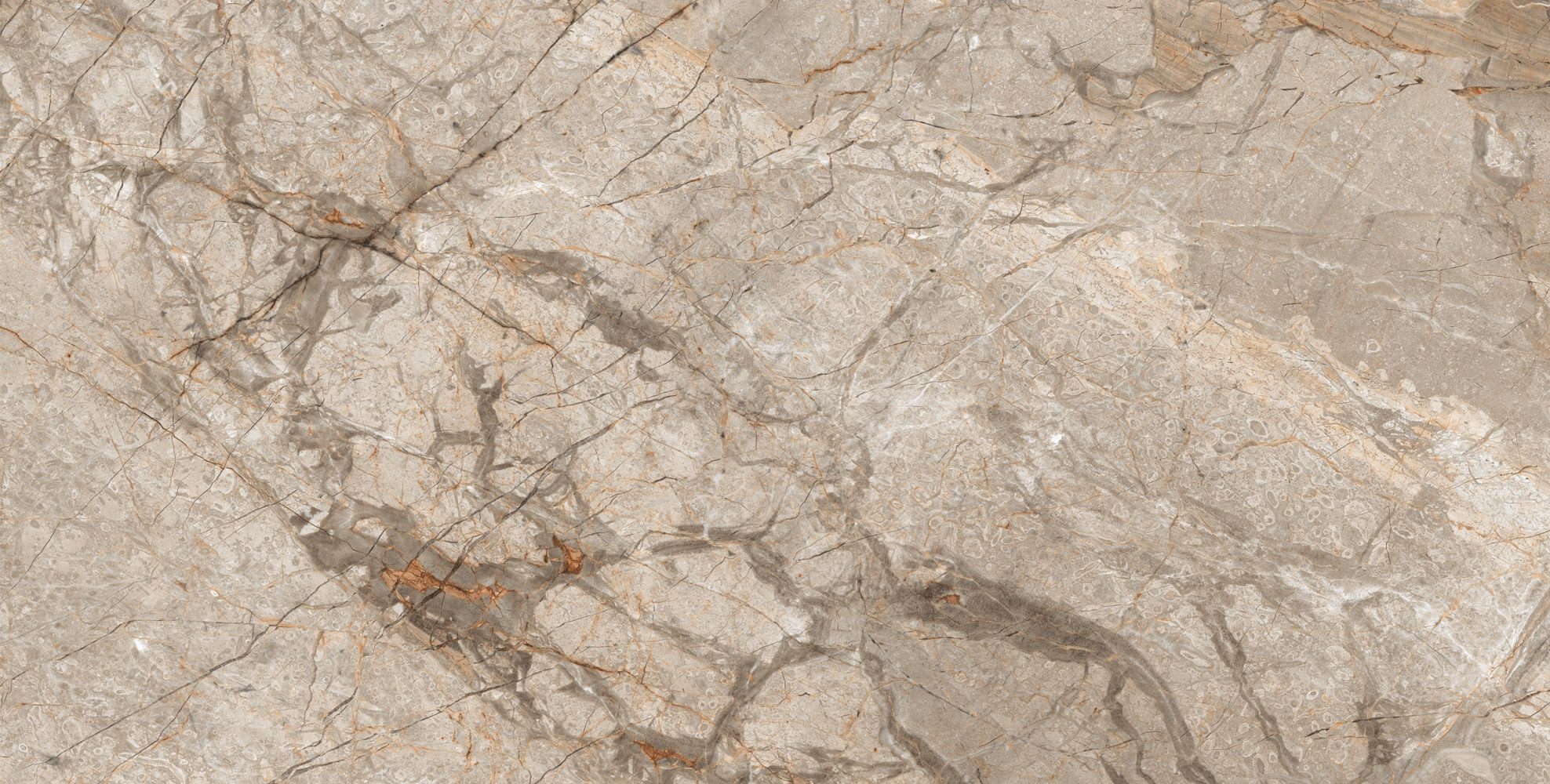 Фото Керамогранит Ennface Stone Kalahari Carving 60x120 см крупным планом — купить в Краснодаре в салоне МАКСАНН