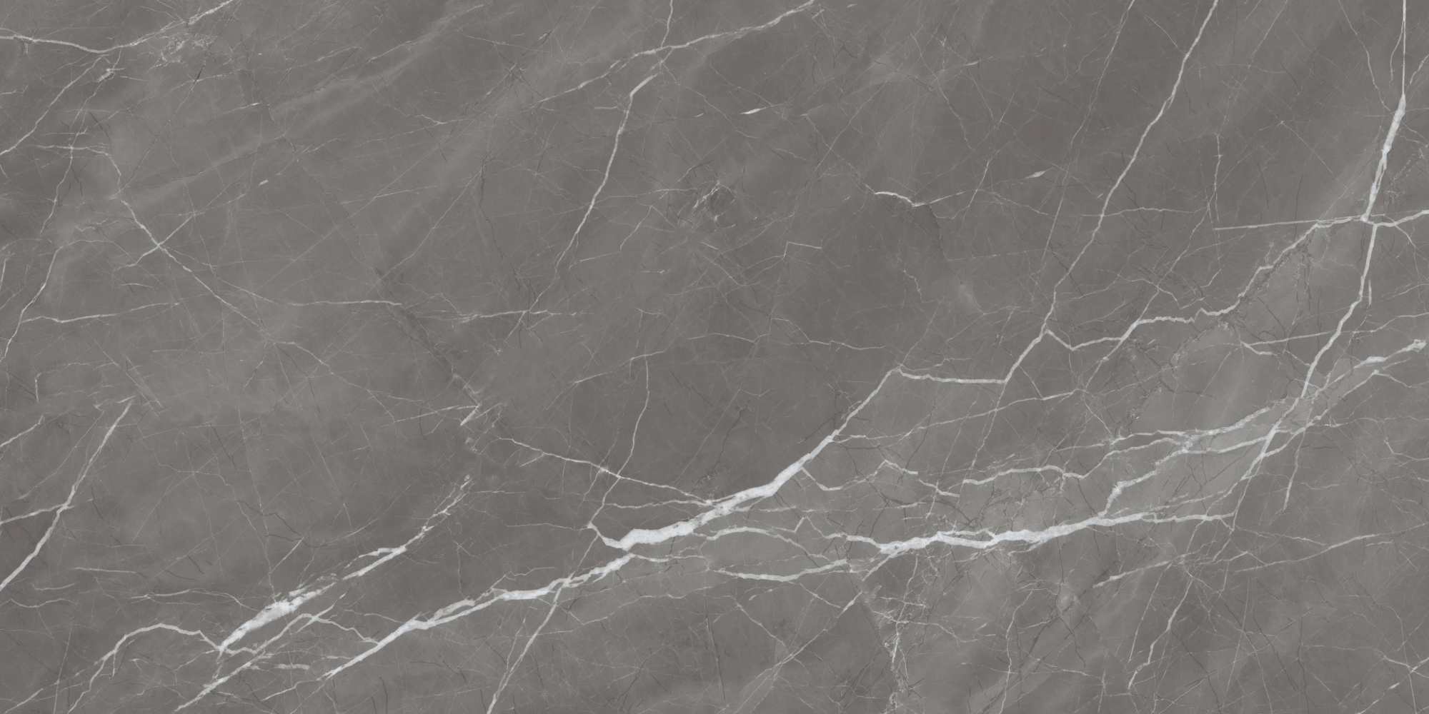 Фото Керамогранит Ennface Stone Grigio Fresco High Glossy 60x120 см крупным планом — купить в Краснодаре в салоне МАКСАНН