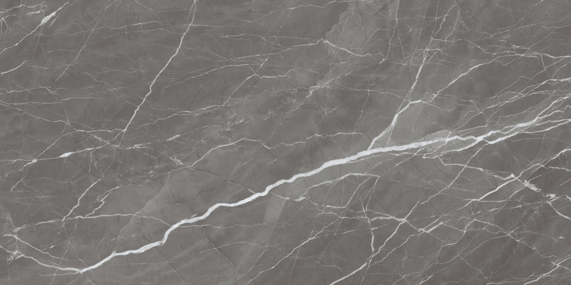 Фото Керамогранит Ennface Stone Grigio Fresco High Glossy 60x120 см крупным планом — купить в Краснодаре в салоне МАКСАНН