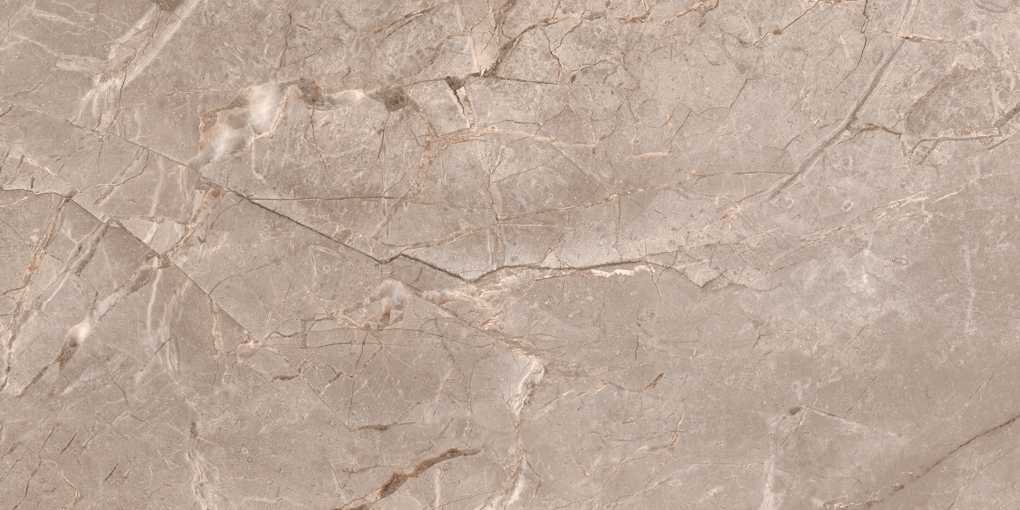 Фото Керамогранит Ennface Stone Fantasy Moca Matt 60x120 см крупным планом — купить в Краснодаре в салоне МАКСАНН