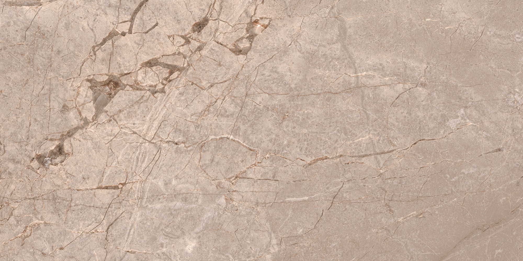 Фото Керамогранит Ennface Stone Fantasy Moca Matt 60x120 см крупным планом — купить в Краснодаре в салоне МАКСАНН
