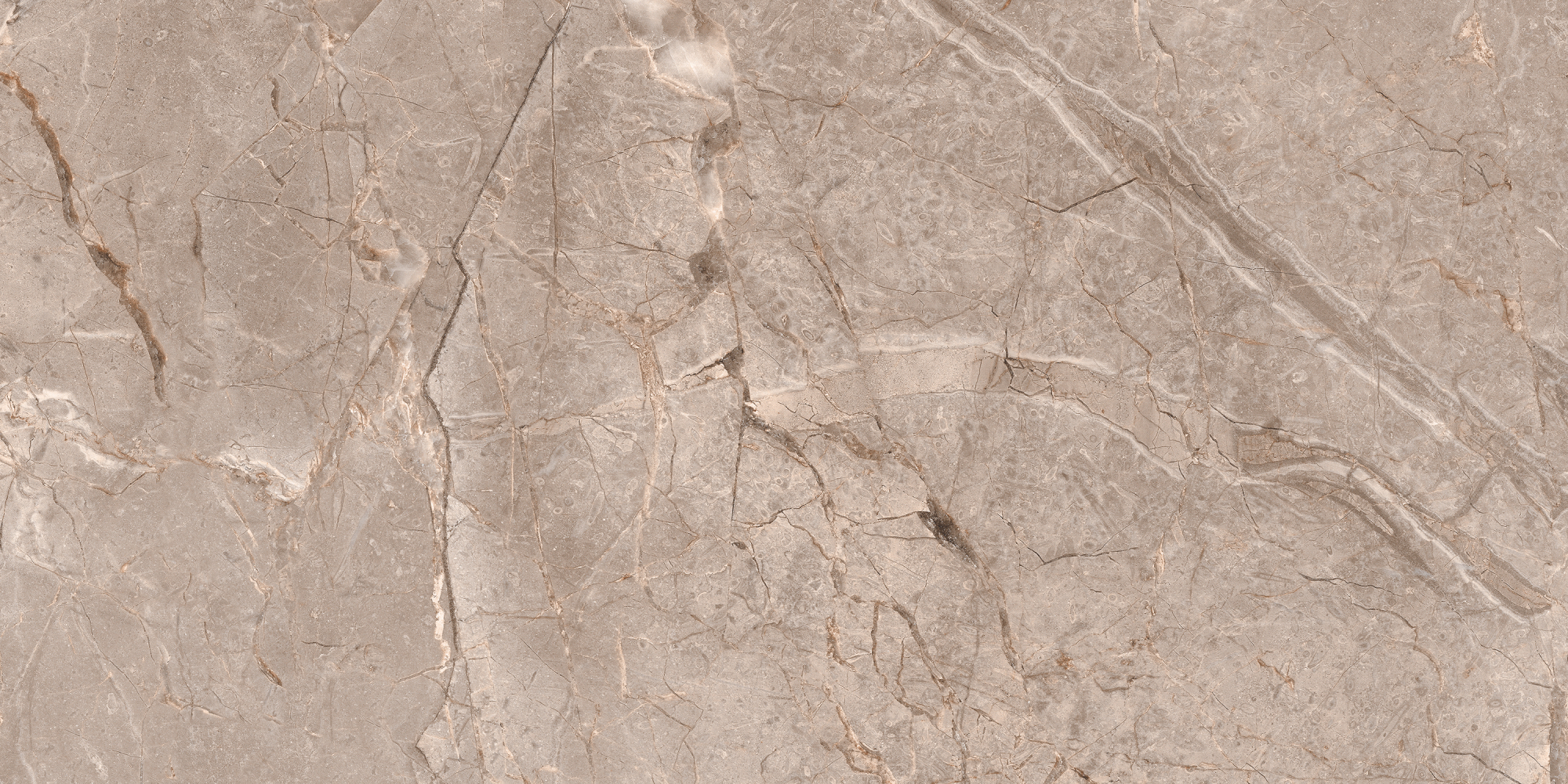 Фото Керамогранит Ennface Stone Fantasy Moca Matt 60x120 см крупным планом — купить в Краснодаре в салоне МАКСАНН