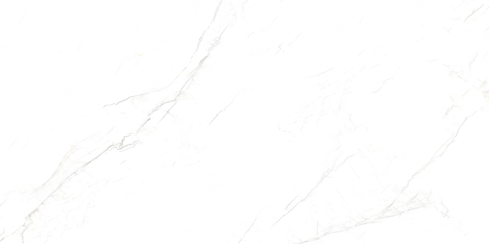 Фото Керамогранит Ennface Marble Mystic White Matt 60x120 см крупным планом — купить в Краснодаре в салоне МАКСАНН