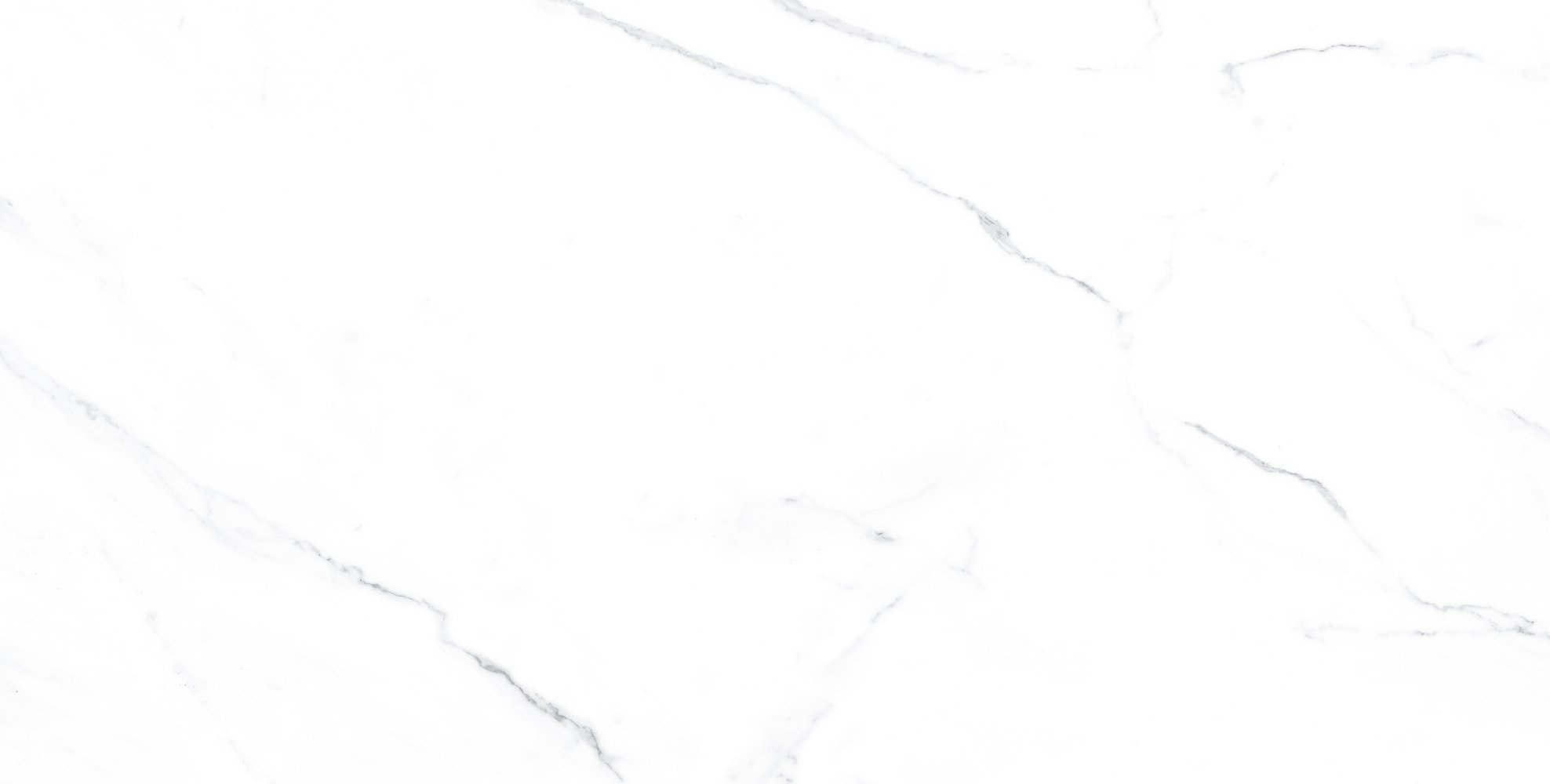 Фото Керамогранит Ennface Marble Carrara Bianco Matt 60x120 см крупным планом — купить в Краснодаре в салоне МАКСАНН