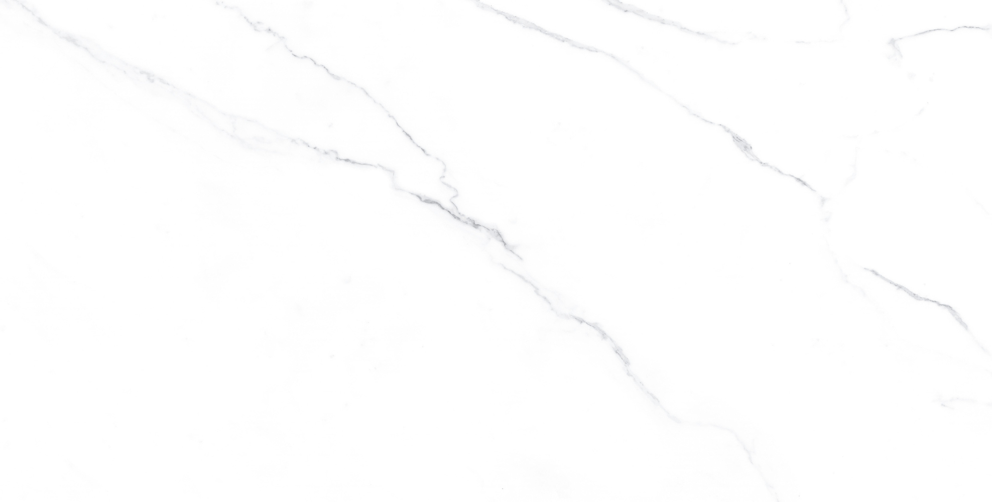 Фото Керамогранит Ennface Marble Carrara Bianco Matt 60x120 см крупным планом — купить в Краснодаре в салоне МАКСАНН