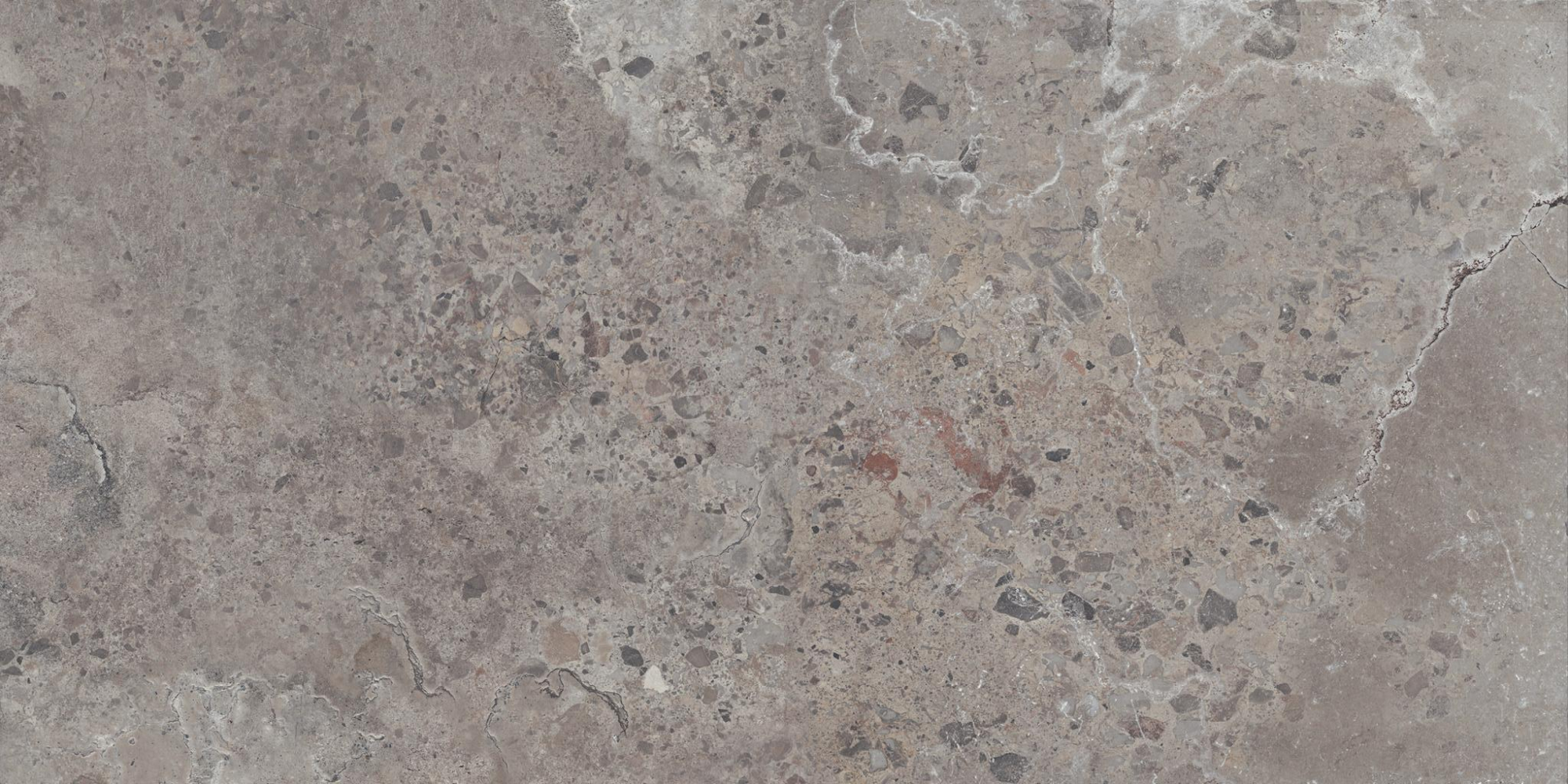 Фото Керамогранит ABK Ceramiche Pietra Viva Grey Natural 60x120 см крупным планом — купить в Краснодаре в салоне МАКСАНН