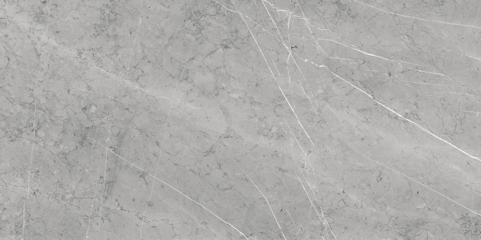 Фото Керамогранит Eternal Santafe Gris Matt 60x120 см крупным планом — купить в Краснодаре в салоне МАКСАНН