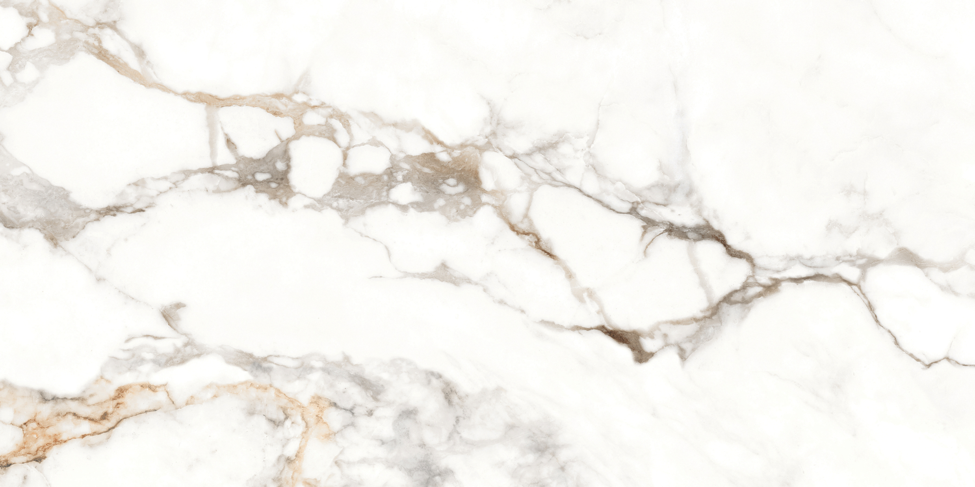 Фото Керамогранит Eternal Antique Carrara Matt 60x120 см крупным планом — купить в Краснодаре в салоне МАКСАНН