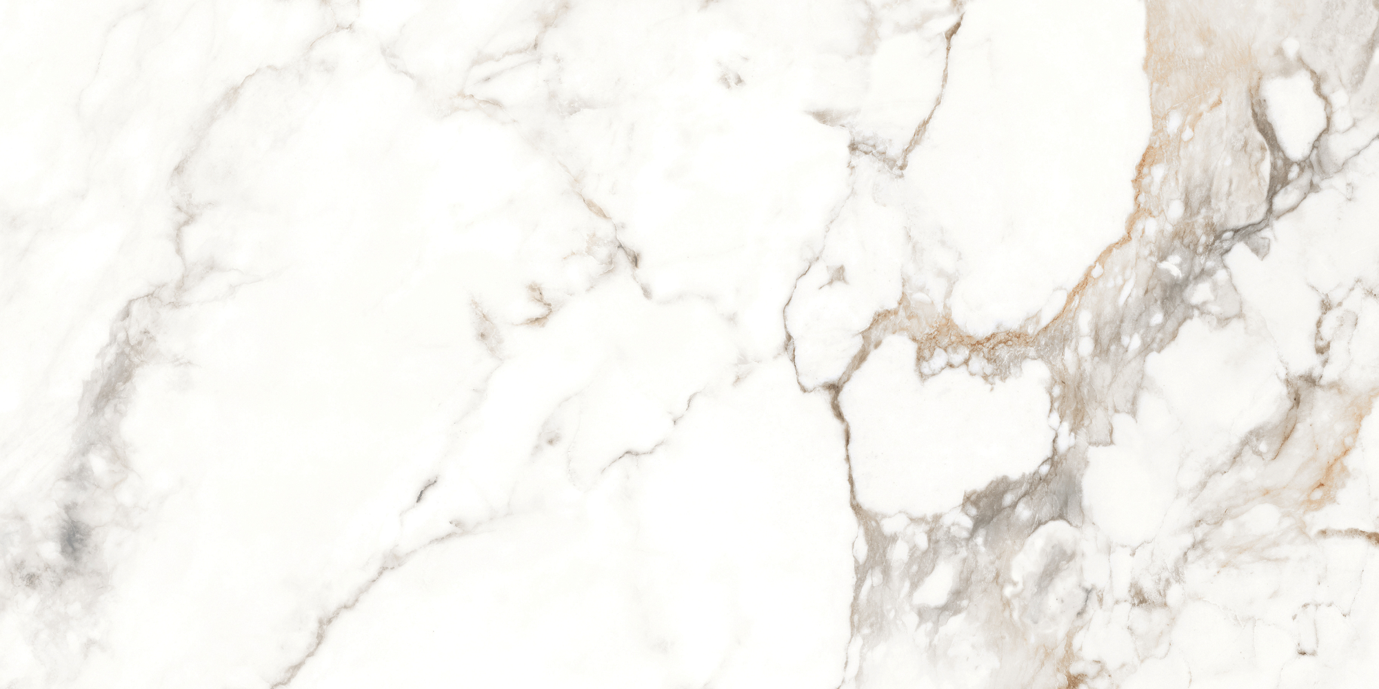 Фото Керамогранит Eternal Antique Carrara Glossy 60x120 см крупным планом — купить в Краснодаре в салоне МАКСАНН