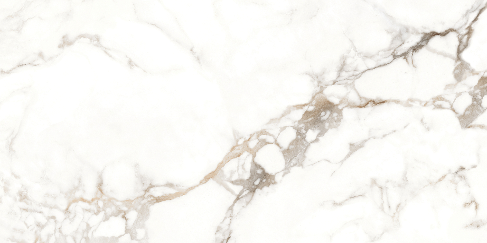 Фото Керамогранит Eternal Antique Carrara Glossy 60x120 см крупным планом — купить в Краснодаре в салоне МАКСАНН