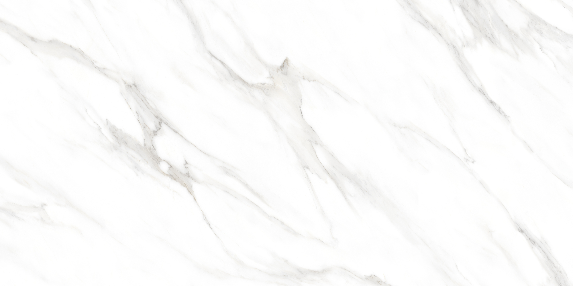 Фото Керамогранит Eternal Carrara Pearl Matt 60x120 см крупным планом — купить в Краснодаре в салоне МАКСАНН