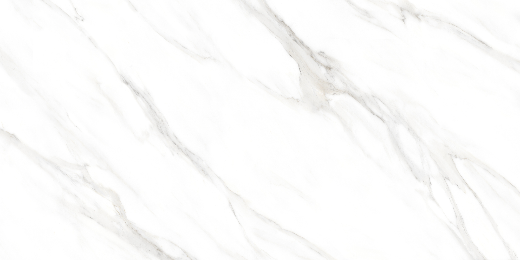 Фото Керамогранит Eternal Carrara Pearl Matt 60x120 см крупным планом — купить в Краснодаре в салоне МАКСАНН