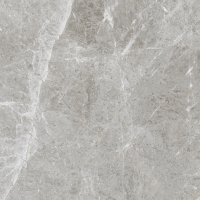 Керамогранит Eternal Baltic Grey Glossy 60x60 см