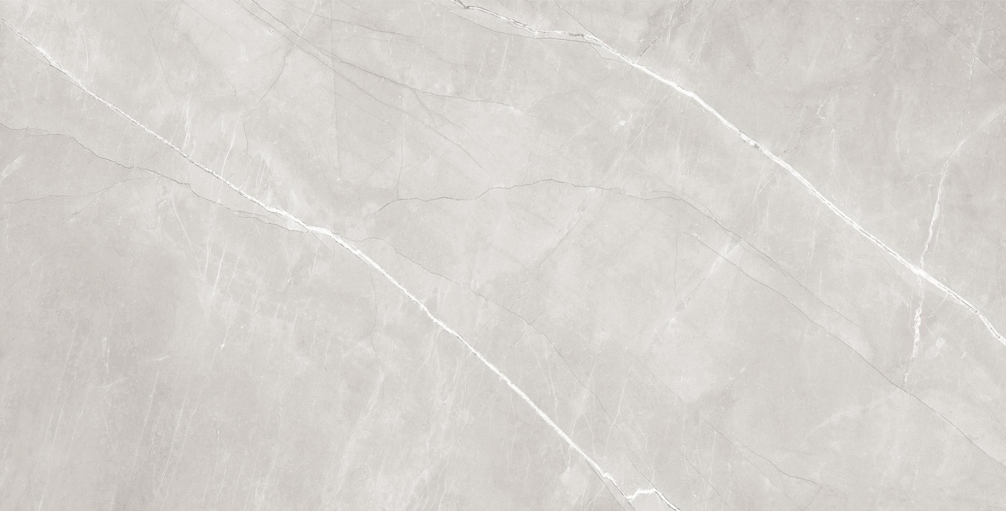 Фото Керамогранит Arcadia Ceramica Matt Rustic Armani Silver 60х120 см крупным планом — купить в Краснодаре в салоне МАКСАНН