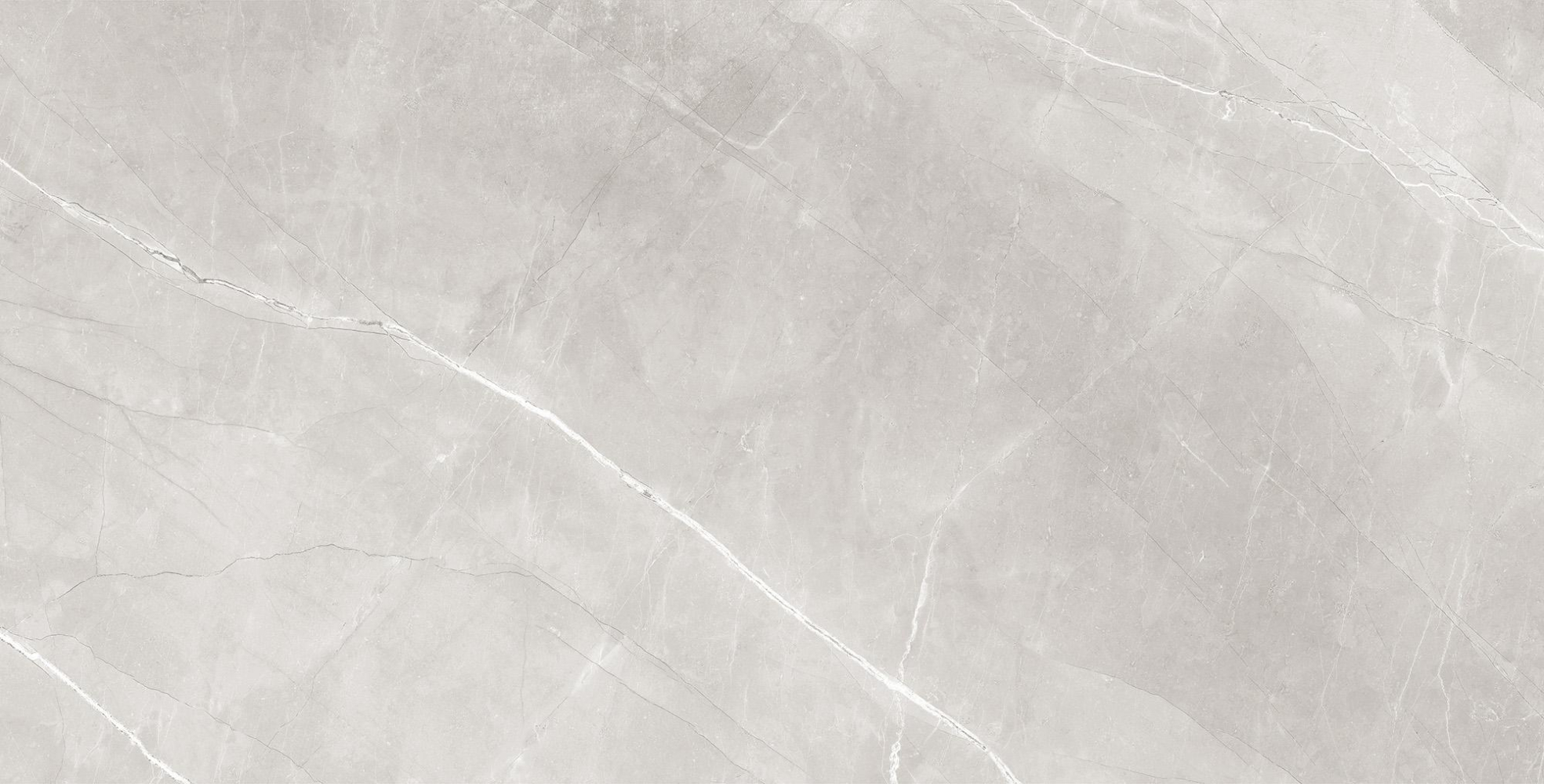 Фото Керамогранит Arcadia Ceramica Matt Rustic Armani Silver 60х120 см крупным планом — купить в Краснодаре в салоне МАКСАНН