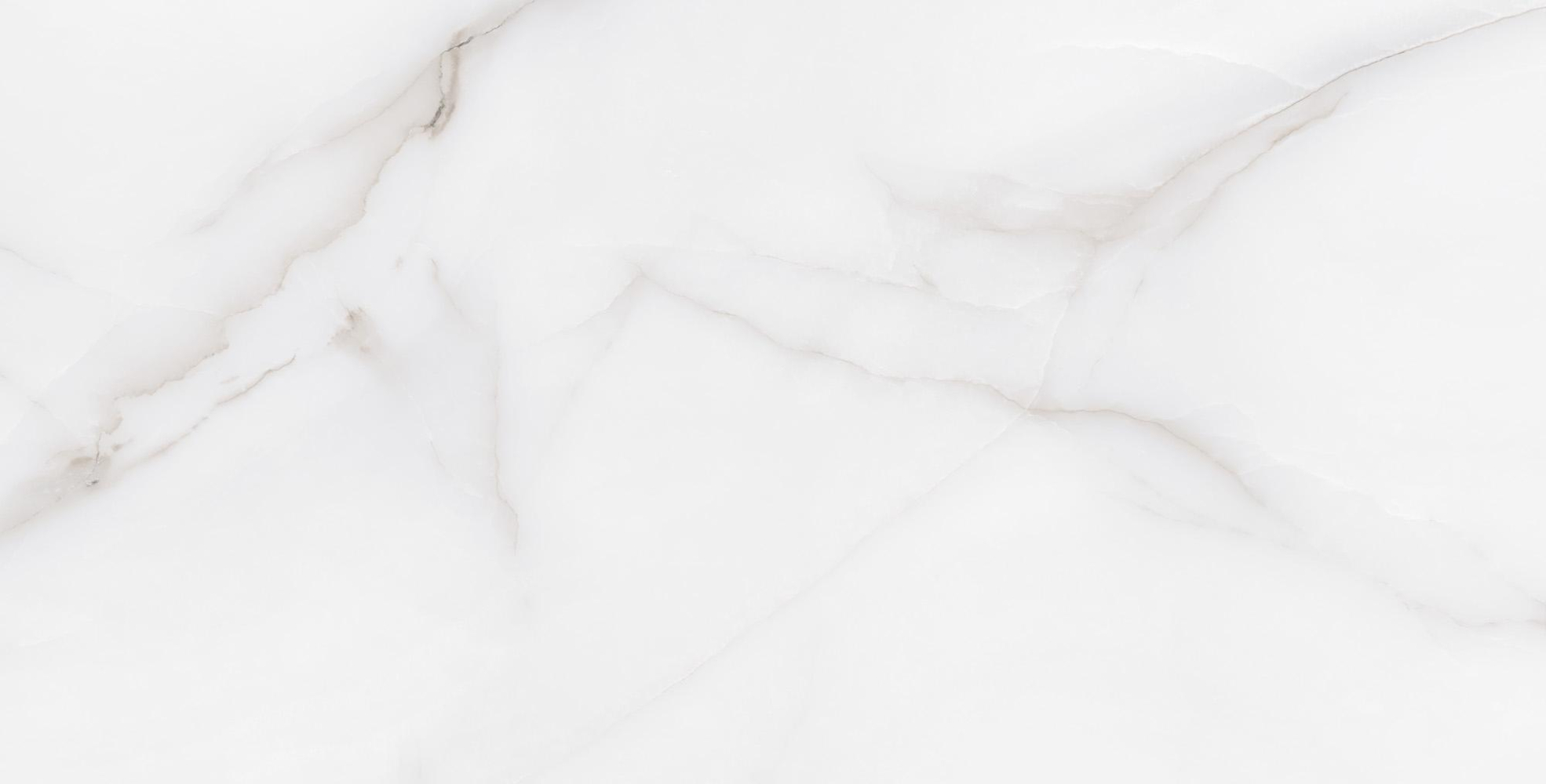 Фото Керамогранит Arcadia Ceramica Matt Rustic Feather Onyx 60х120 см крупным планом — купить в Краснодаре в салоне МАКСАНН