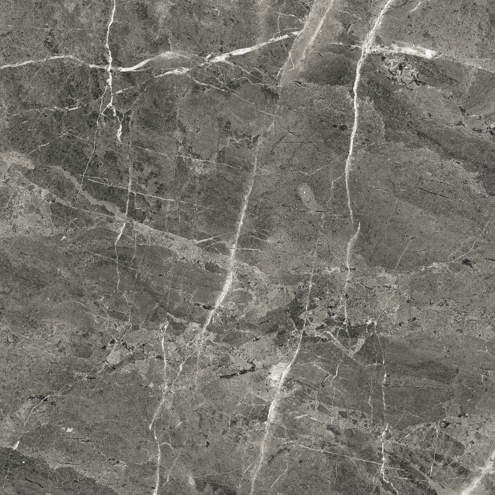 Фото Керамогранит Arcadia Ceramica Matt Rustic Florencia Grey 60х60 см крупным планом — купить в Краснодаре в салоне МАКСАНН