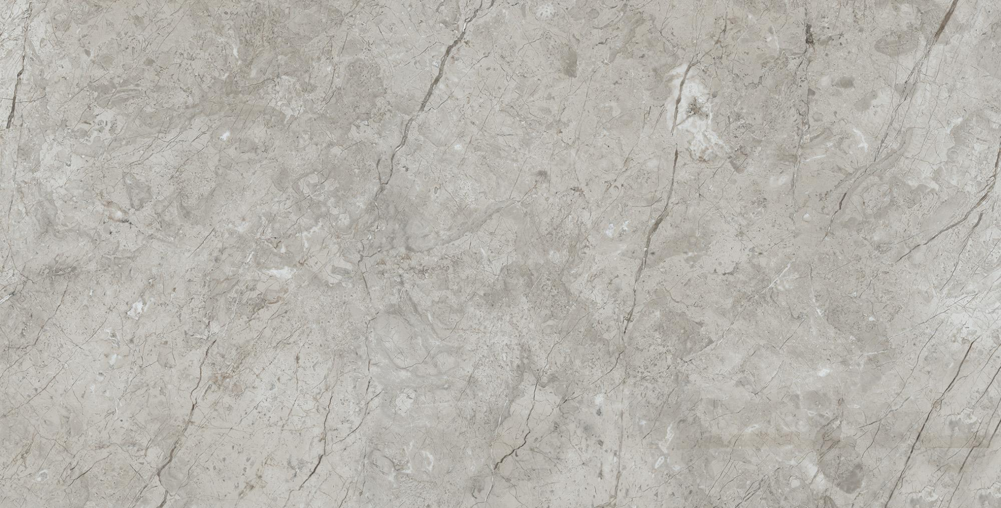 Фото Керамогранит Arcadia Ceramica Matt Rustic Marcus Gracia 60х120 см крупным планом — купить в Краснодаре в салоне МАКСАНН