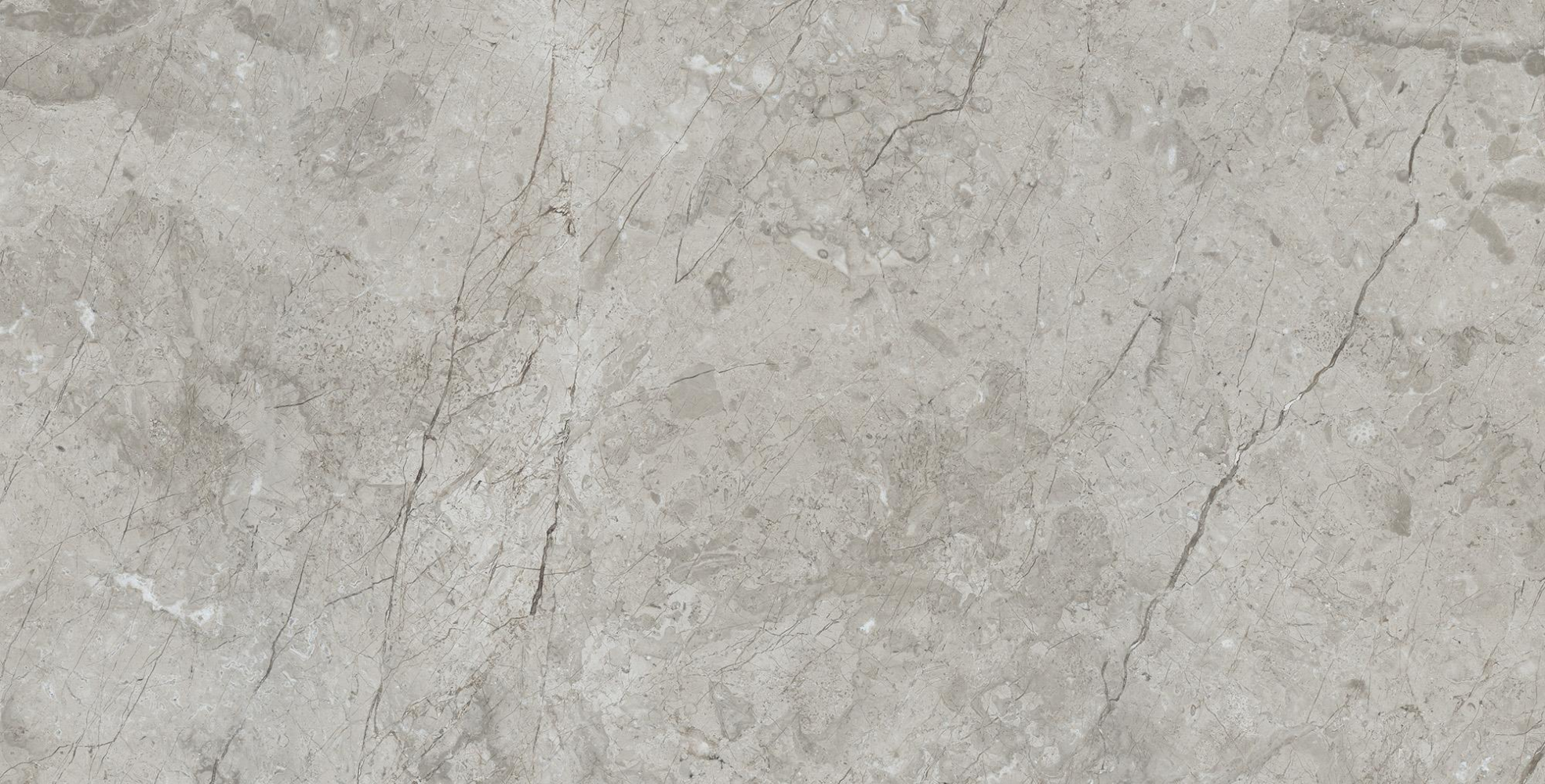 Фото Керамогранит Arcadia Ceramica Matt Rustic Marcus Gracia 60х120 см крупным планом — купить в Краснодаре в салоне МАКСАНН