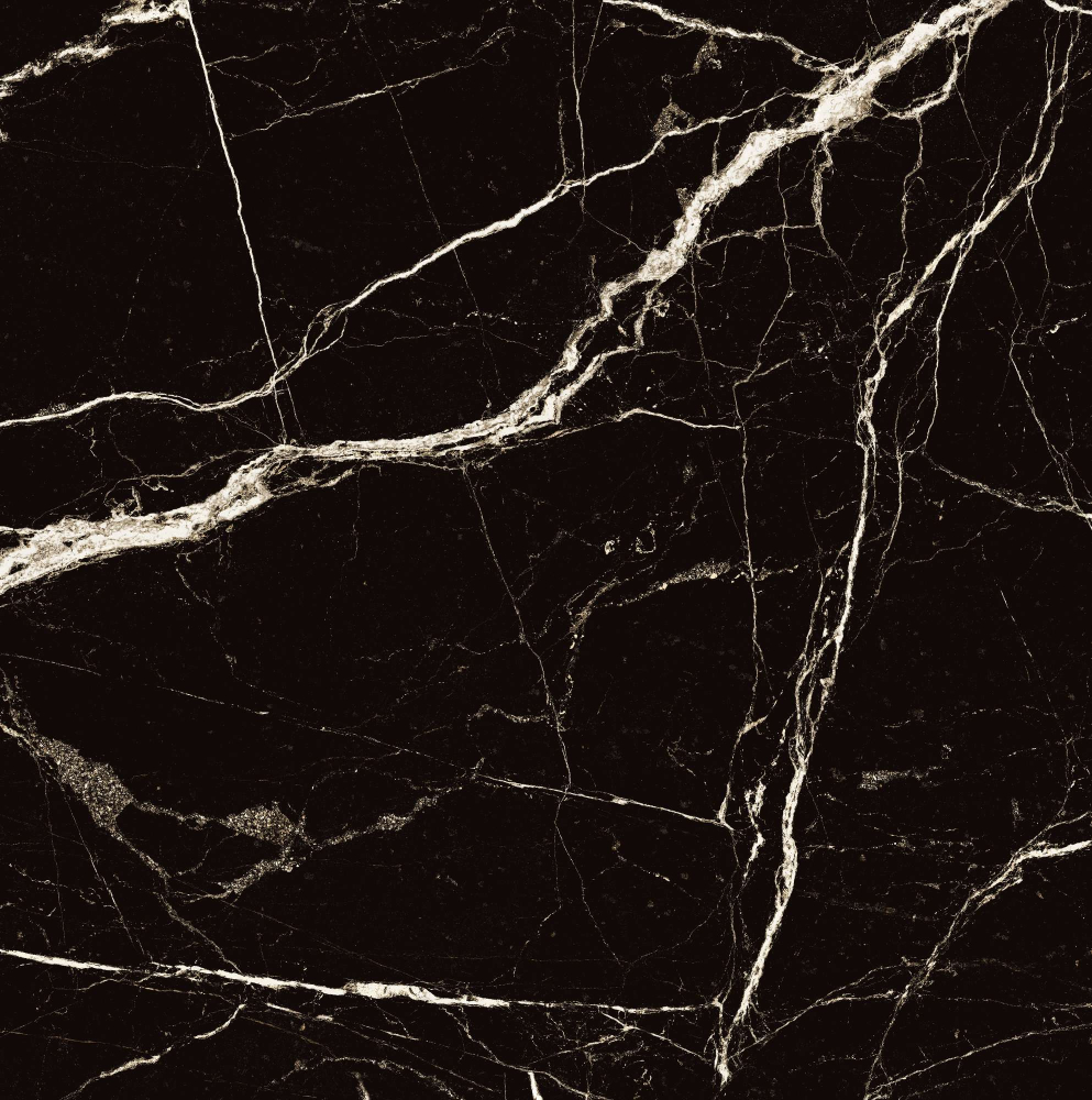 Фото Керамогранит Arcadia Ceramica High Gloss Black Spinder 60х60 см крупным планом — купить в Краснодаре в салоне МАКСАНН